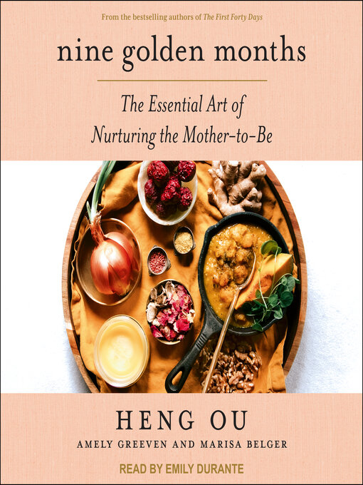 Title details for Nine Golden Months by Heng Ou - Wait list